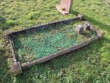 image of grave number 765961
